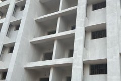 mandara-current-status7