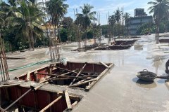 mandara-current-status27