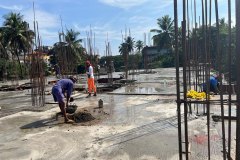 mandara-current-status28