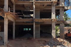 mandara-current-status35